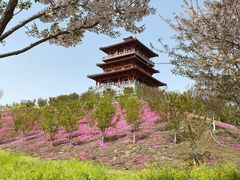 -古柏渡飞黄旅游区