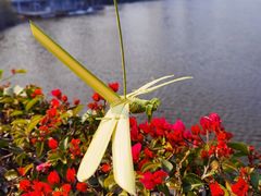 -厦门园林博览苑