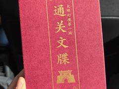 -大明幻境第一城