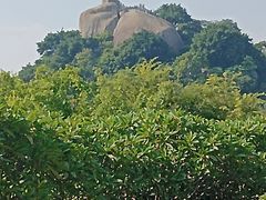 -鼓浪屿钢琴博物馆