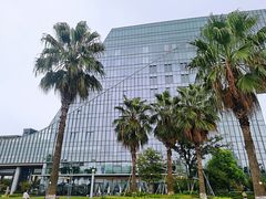 -金沙湖公园