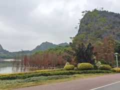-南宁花花大世界景区