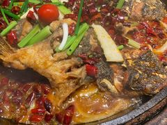 -老板恋上鱼(高新万达店)