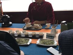 -西湖游船