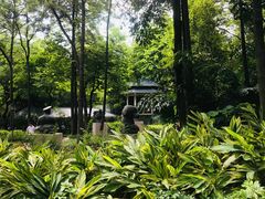 -晓港公园