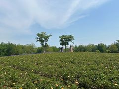 -同里国家湿地公园