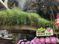 -正佳雨林生态植物园