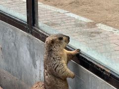 -鄂尔多斯野生动物园