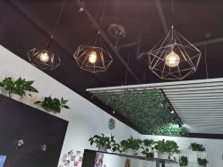 -魔型社