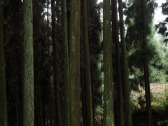 -九峰山