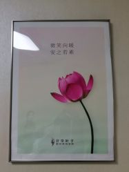 -北京叶子整形美容医院