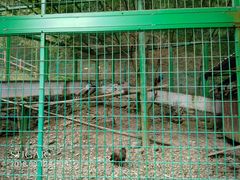 -藏龙百瀑风景区