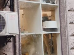 -Pets First伊珊娜洗护·精致美容·家庭式寄养(新会路店)