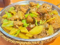 -黄三怪(动物园·无影山店)