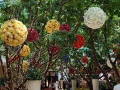 -拉斯维加斯永利酒店