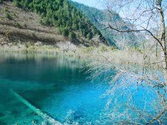 -九寨沟-树正沟