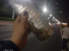 -青岛第三海水浴场