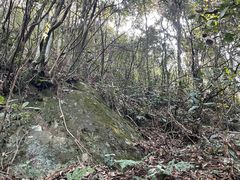 -遂昌金矿国家矿山公园