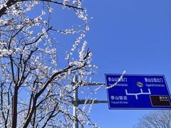 -香山公园