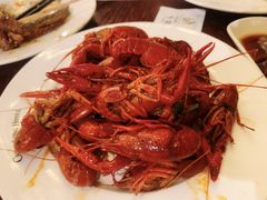 -白虎自助餐厅·真老虎·景观自助餐厅(广州长隆酒店)