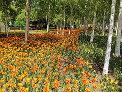 -长春公园(普阳街道)