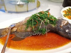 -四海之家(蛇口店)