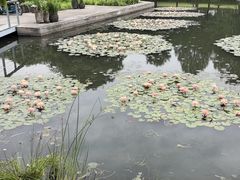 -上海辰山植物园