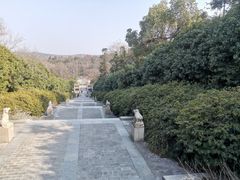 -宜兴龙背山森林公园