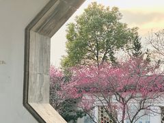 -八大山人梅湖景区