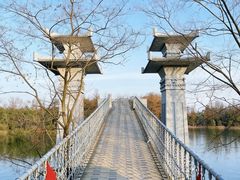 -东湖落雁景区