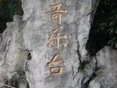 -音乐台