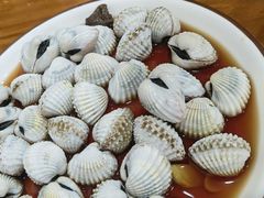 毛蚶-红灯笼龙凤饭店(宁波老字号店)