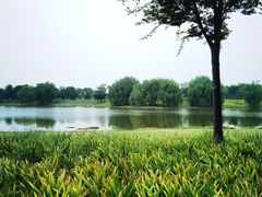-上海滨江森林公园
