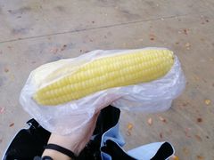 -上海外国语大学（松江校区）食堂