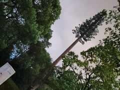 -繁花里音乐餐厅(新天地店)