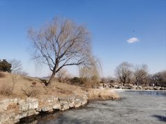 -北京西山国家森林公园