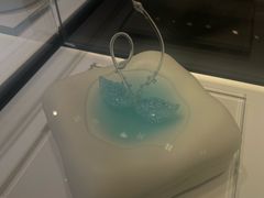 -BLACKSWAN黑天鹅(环球店)