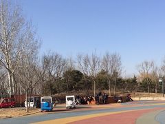 -东郊湿地公园