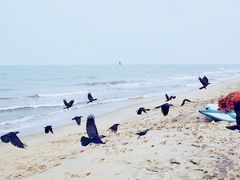 -尼甘布海滩