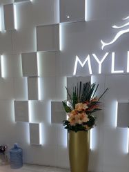 -深圳美莱医疗美容医院