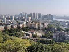 -福道