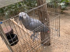 -南宫五洲植物乐园