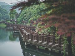 -桃花岭景区