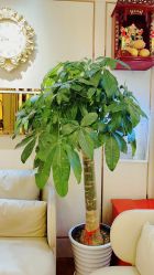 -茜尔维亚修身连锁(杨浦五角场店)