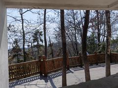 -云碧峰国家森林公园