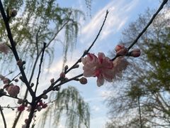 -杭州湖滨in77
