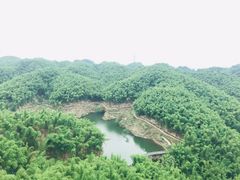 -沐川竹海旅游景区