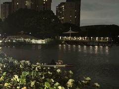 -新江湾城公园