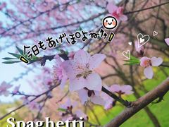 -贵阳市花溪国家城市湿地公园