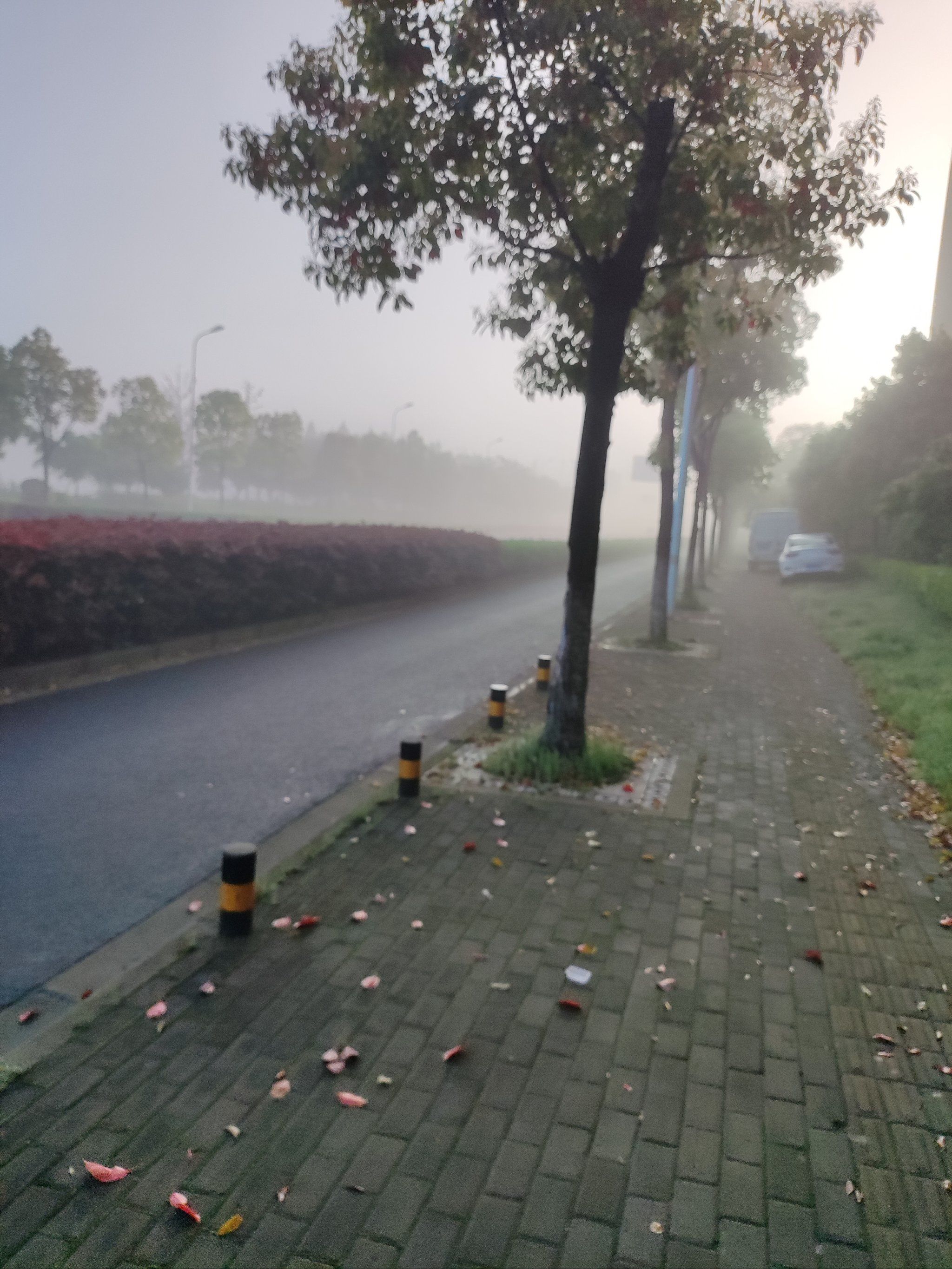 早上好 好大的雾